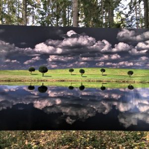 Photo 10 - Art Trail in Valgums Forest