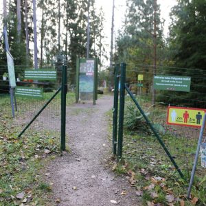 Photo 2 - Art Trail in Valgums Forest