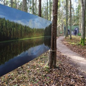 Photo 5 - Art Trail in Valgums Forest