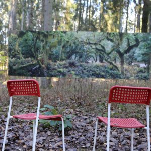 Photo 6 - Art Trail in Valgums Forest