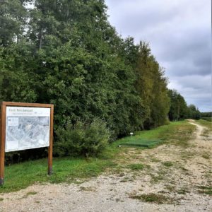 Photo 1 - Rapla Vesiroosi terviserada