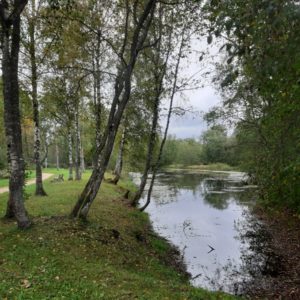 Photo 4 - Rapla Vesiroosi terviserada
