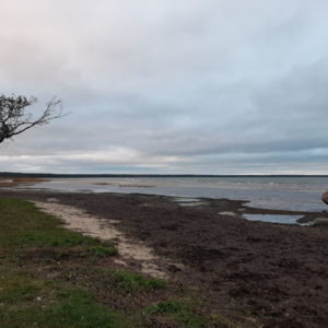 Photo 1 - Kärdla rannapark ja vabrikuväljak