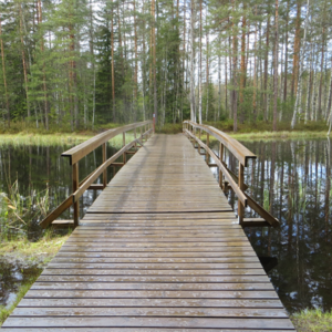 Photo 8 - Haukanholma matkarada