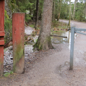 Photo 4 - Haukanholma matkarada