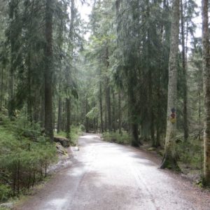 Photo 3 - Haukanholma matkarada