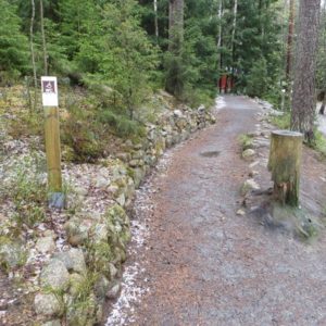 Photo 9 - Haukanholma matkarada