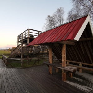 Photo 10 - RMK Rannajõe vaatetorn