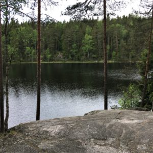 Photo 14 - Haukanholma matkarada