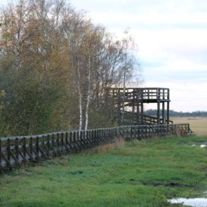 Photo 1 - RMK Rannajõe vaatetorn