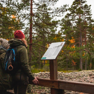 Photo 9 - Jeturkasti Trail