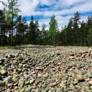 Photo 10 - Jeturkasti Trail