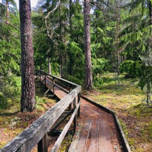 Photo 7 - Jeturkasti Trail