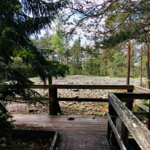 Photo 8 - Jeturkasti Trail