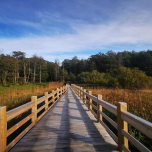 Photo 1 - Kabli Nature Study Trail