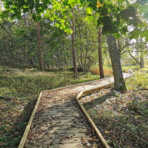 Photo 2 - Kabli Nature Study Trail