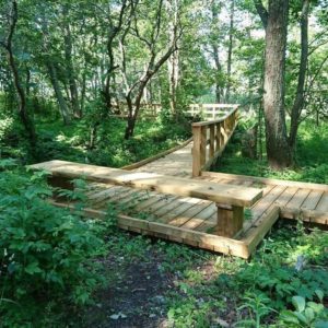 Photo 4 - Kabli Nature Study Trail
