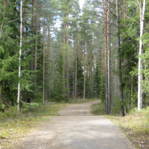 Photo 1 - Kariholmas taka