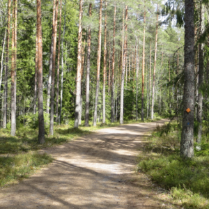 Photo 2 - Kariholma Trail