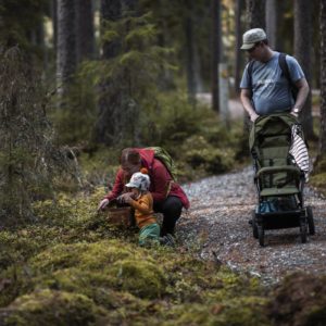 Photo 2 - Peukaloisen Polku taka