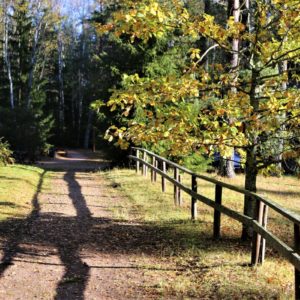 Photo 2 - Līgatne Nature Trails