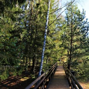 Photo 3 - Līgatne Nature Trails