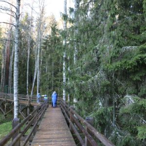 Photo 4 - Līgatne Nature Trails