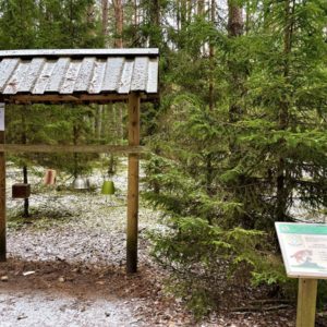 Photo 8 - Līgatne Nature Trails