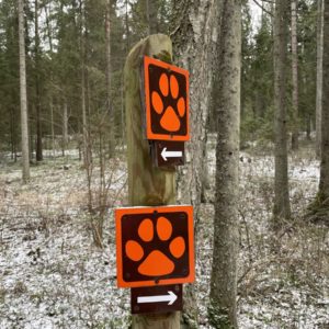 Photo 9 - Līgatne Nature Trails