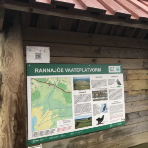 Photo 13 - RMK Rannajõe vaatetorn