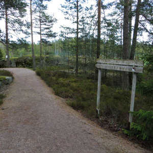 Photo 3 - Maahisenpolku Trail