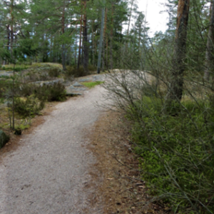 Photo 9 - Maahisenpolku Trail