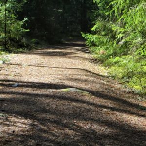 Photo 2 - Vasikkahaka taka