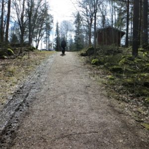 Photo 4 - Vasikkahaka taka