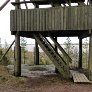 Photo 1 - Vasikkahaka taka