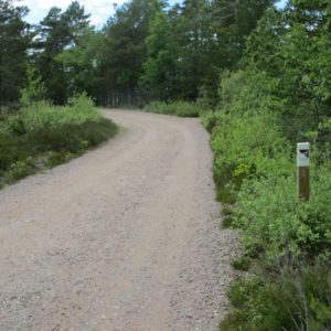 Photo 4 - Porkkala raga skatu platforma