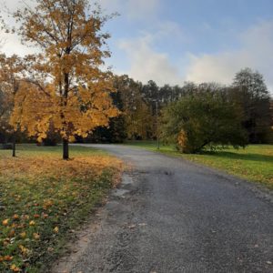 Photo 13 - Kärdla rannapark ja vabrikuväljak