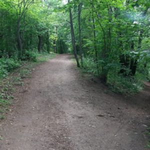 Photo 4 - Rakveres ozolu taka