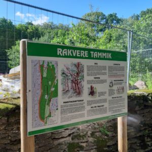 Photo 9 - Rakveres ozolu taka