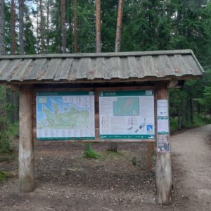 Photo 3 - RMK Viru bog nature trail