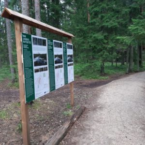 Photo 4 - RMK Viru bog nature trail