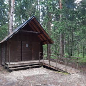 Photo 2 - RMK Viru bog nature trail