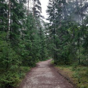 Photo 6 - RMK Viru bog nature trail