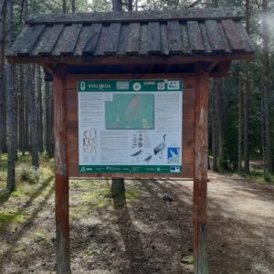 Photo 13 - RMK Viru bog nature trail