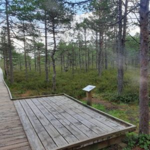 Photo 16 - RMK Viru bog nature trail