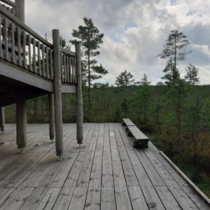 Photo 29 - RMK Viru bog nature trail