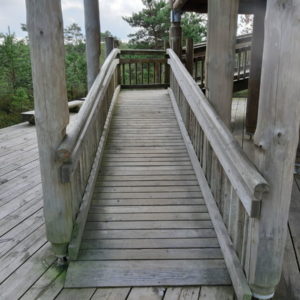 Photo 30 - RMK Viru bog nature trail