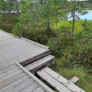 Photo 31 - RMK Viru bog nature trail