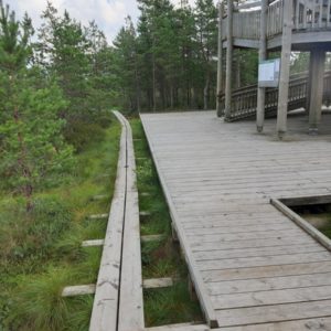 Photo 32 - RMK Viru bog nature trail