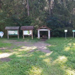 Photo 3 - Sõõriksoo dabas taka